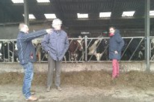 PvdA brengt werkbezoek aan veehouder in Middag-Humsterland